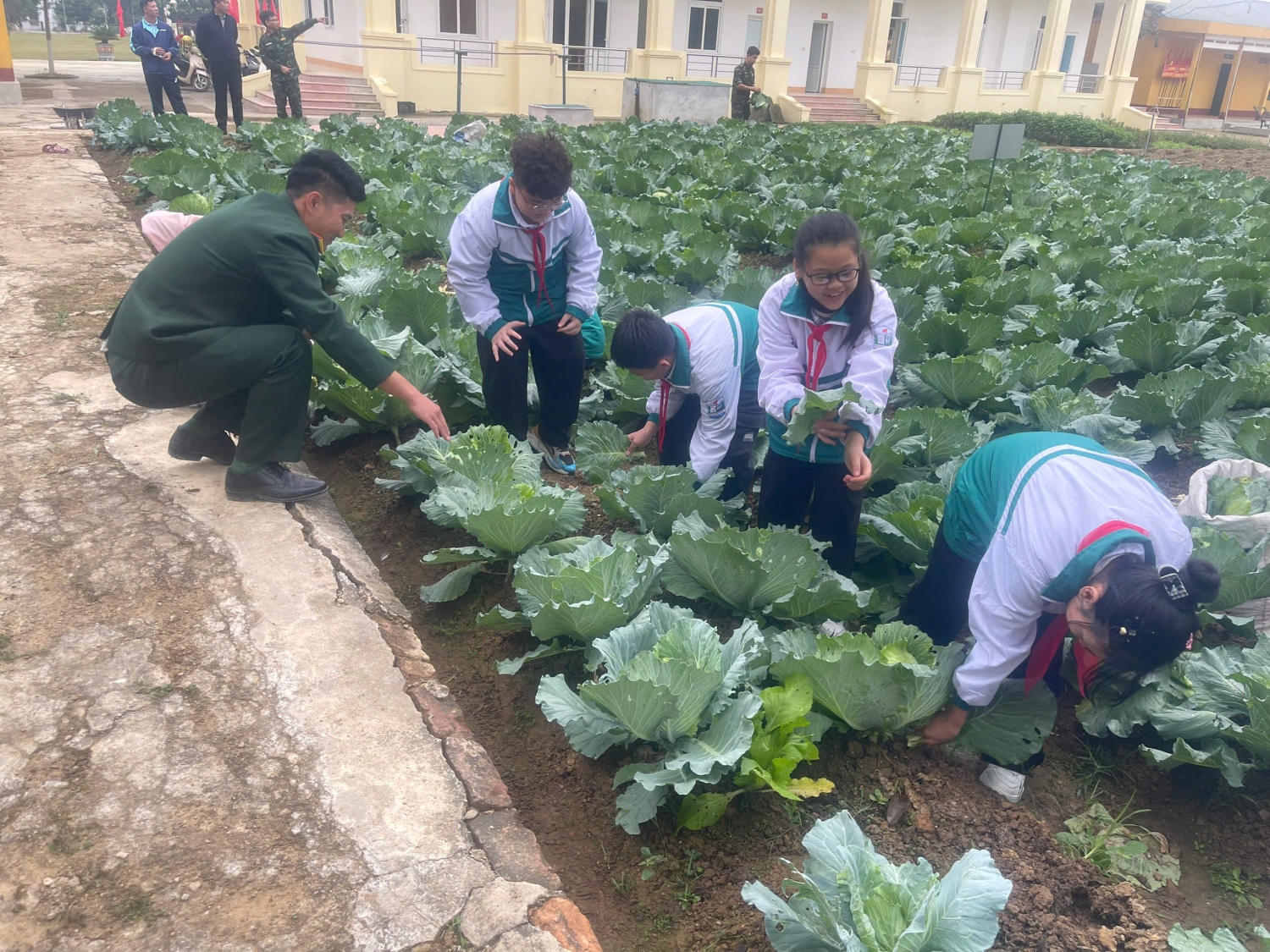 z7334826432823 d087f90d761c746d1b0912772a7cf7c0